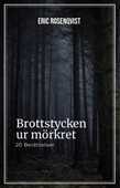 Brottstycken ur mörkret