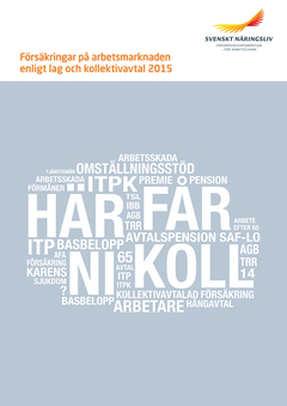 Försäkringar på arbetsmarknaden enligt lag och kollektivavtal 2015