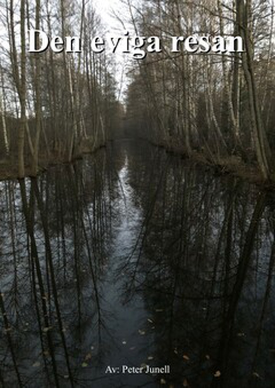 Den eviga resan (e-bok) av Peter Junell