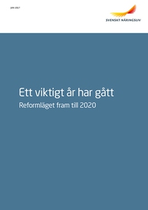 Ett viktigt år har gått – Reformläget fram till