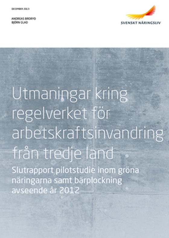 Utländsk spetskompetens - en nyckelfråga för Sverige