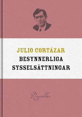 Besynnerliga sysselsättningar (e-bok) av Julio 
