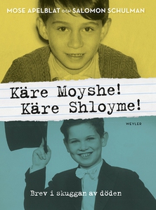 Käre Moyshe! Käre Shloyme! (e-bok) av Salomon S