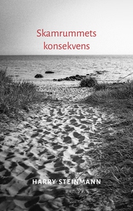 Skamrummets konsekvens (e-bok) av Harry Steinma