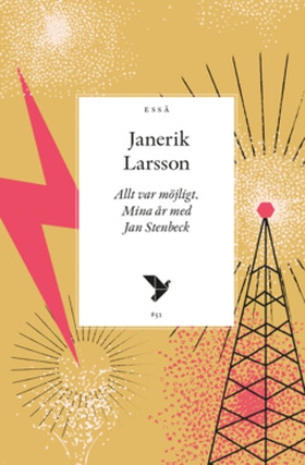 Allt var möjligt (e-bok) av Janerik Larsson
