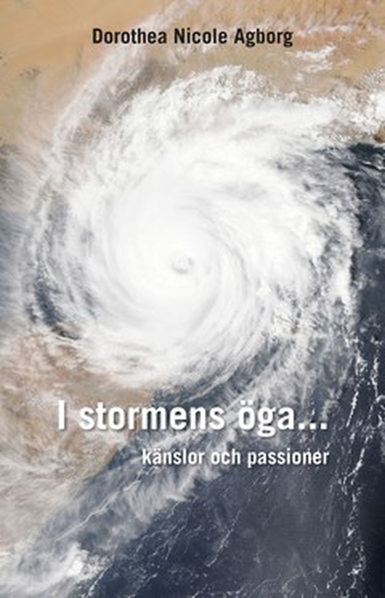 I stormens öga...