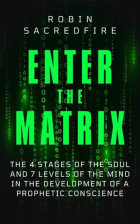 Enter the Matrix (e-bok) av Robin Sacredfire