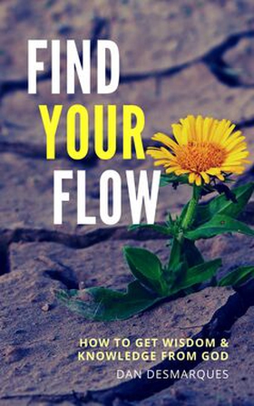 Find Your Flow (e-bok) av Dan Desmarques