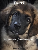 Bertil - en hunds funderingar