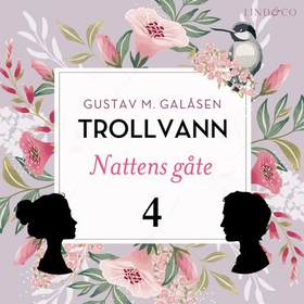 Nattens gåte