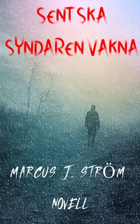 Sent Ska Syndaren Vakna (e-bok) av Marcus J. St