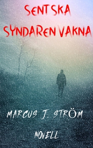 Sent Ska Syndaren Vakna (e-bok) av Marcus J. St