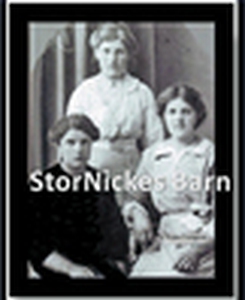StorNickes barn (e-bok) av Rana Forsgren