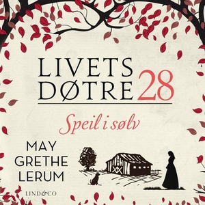 Speil i sølv (lydbok) av May Grethe Lerum