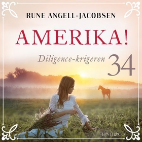 Diligence-krigeren (lydbok) av Rune Angell-Ja