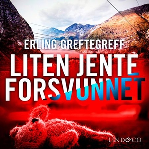 Liten jente forsvunnet (lydbok) av Erling Gre