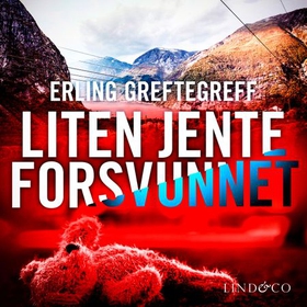 Liten jente forsvunnet - kriminalroman (lydbok) av Erling Greftegreff