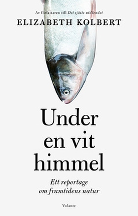 Under en vit himmel (e-bok) av Elizabeth Kolber