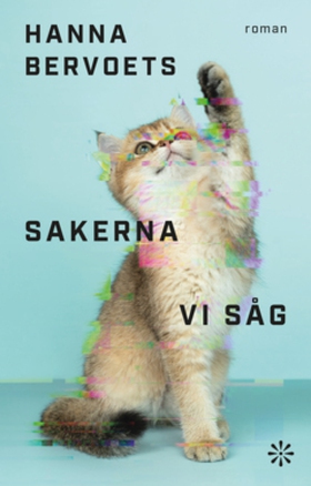 Sakerna vi såg (e-bok) av Hanna Bervoets