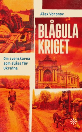 Blågula kriget (e-bok) av Alex Voronov