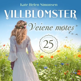 Veiene møtes (lydbok) av Kate Helen Simonsen