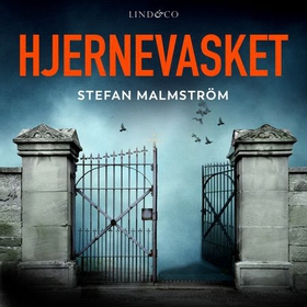 Hjernevasket (lydbok) av Stefan Malmström