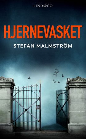 Hjernevasket (ebok) av Stefan Malmström