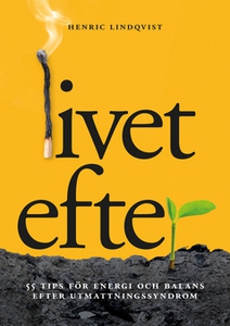 Livet efter (e-bok) av Henric Lindqvist