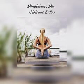 Mindfulness Mix (e-bok) av Heidi Hallifax