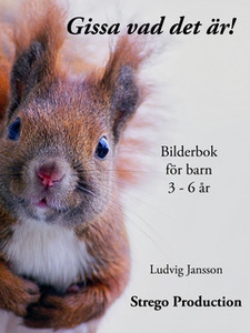 Gissa vad det är! (e-bok) av Ludvig Jansson