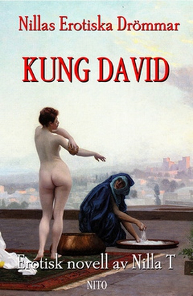 Kung David (e-bok) av Nilla T