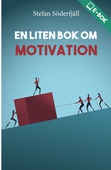 En liten bok om motivation