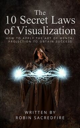 The 10 Secret Laws of Visualization (e-bok) av 