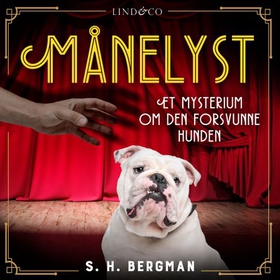 Månelyst - et mysterium om den forsvunne hunden (lydbok) av S.H. Bergman