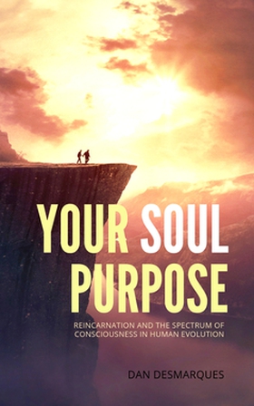 Your Soul Purpose (e-bok) av Dan Desmarques