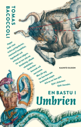 En bastu i Umbrien (e-bok) av Tomas Bacoccoli