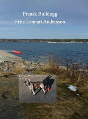 Fransk Bulldogg (e-bok) av Fritz Lennart Anders