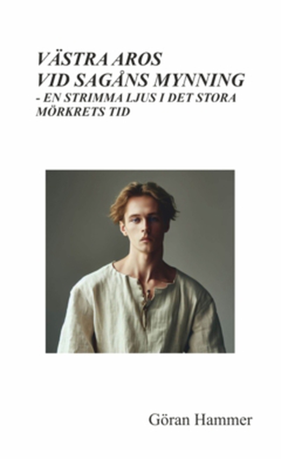 Västra Aros vid Sagåns mynning