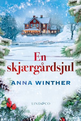 En skjærgårdsjul (ebok) av Anna Winther