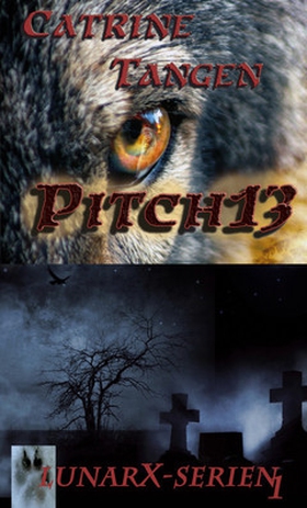Pitch13 (e-bok) av Catrine Ziddharta Tangen, Ca