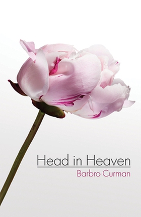 Head in Heaven (e-bok) av Barbro Curman