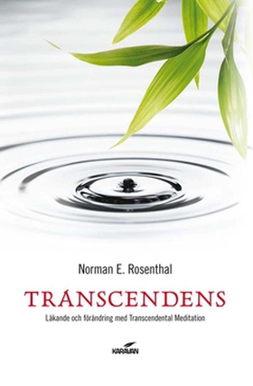 Transcendens (e-bok) av Norman Rosenthal