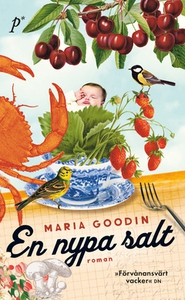 En nypa salt (e-bok) av Maria Goodin, Maria Go