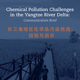 Chemical Pollution Challenges in the Yangtze Ri