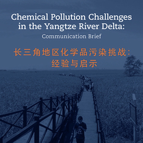Chemical Pollution Challenges in the Yangtze River Delta