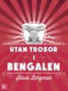 Utan trosor i Bengalen (e-bok) av Silvia Bergma