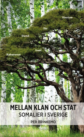Mellan klan och stat (e-bok) av Per Brinkemo