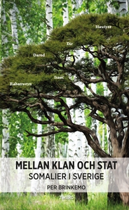 Mellan klan och stat (e-bok) av Per Brinkemo