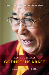 Godhetens kraft (e-bok) av Daniel Goleman, Dala