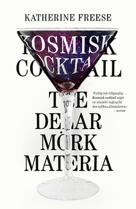 Kosmisk cocktail (e-bok) av Katherine Freese